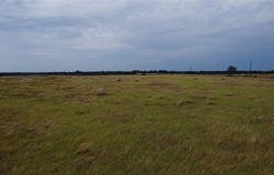 4315 CR 226, San Saba, TX 76877