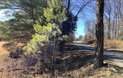Ben Smith Rd, HENRY, TN 38231