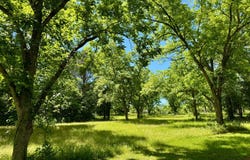 00 Berry Rd, Valley Grande, AL 36701