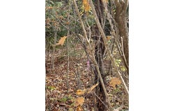 Foothills Drive lot: 20-R, Jay, VT 05859
