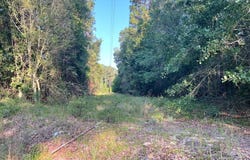 TBD Herbert Road, Norway, SC 29113