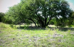 0 County Road 160, Evant, TX 76525