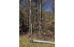 Lot 5882 Tumbleweed Drive, Long Pond, PA 18334