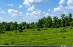 29.47 acres Gumm Springs Rd, Magnolia, KY 42757