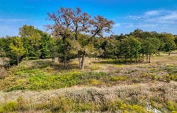 Tbd Valley Oak Court, Springtown, TX 76082