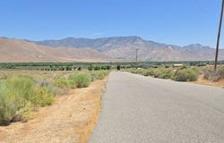 426-390-26 Flycatcher, Weldon, CA 93283