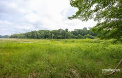 3747 S Sweet Lake Drive, Twin Lake, MI 49457