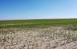 TBD Road G, Syracuse, KS 67878