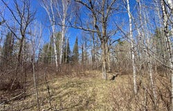 Tbd County Road 89, Park Rapids, MN 56470