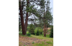 Coombs Loop, Starkey, OR 97850
