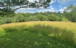 Tbd York Ridge Estates, Mouth of Wilson, VA 24363