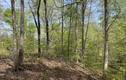 Excalibur Trail (Lot 243), Cedar Grove, TN 38321