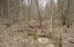 1551 Santa Fe Road, Brooksville, KY 41004