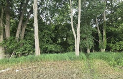 V/L E Washington Street, Greenville, MI 48838