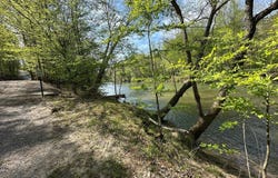 241 Cherokee, Ellijay, GA 30540