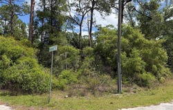 MARYLAND STREET, PAISLEY, FL 32767