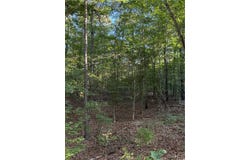 2530 Co Rd 45, Reform, AL 35461