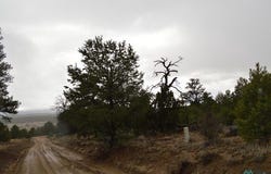 216 Old Well, NM 87357