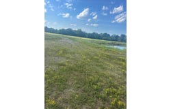 Hwy 124, Pangburn, AR 72121