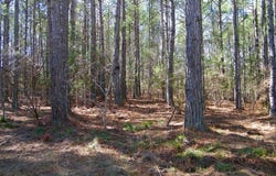 Lot 7 Blackberry Bend, Elberton, GA 30635
