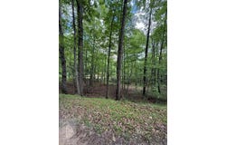 3086 Wyrick Trail, BLAND, VA 24315
