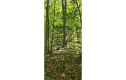 Goose Creek Lane, Ararat, VA 24053