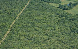 Shady Grove Trail, Prentiss, MS 39474