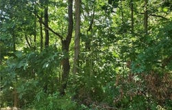 N Shady Ave, Chartiers, PA 15342