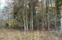 580 Preservation Drive, South Pittsburg, TN 37380