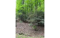 Baldwin Drive lot: 35, Lowgap, NC 27024