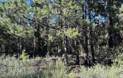 2 Pine Creek Loop, Crescent Lake, OR 97733