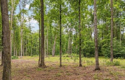 00 Woodland Trail, Traverse City, MI 49684