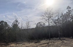 245 HIGHWAY 183, LAWLEY, AL 36793