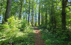 6099 Old Alabama Road SW, Austell, GA 30168
