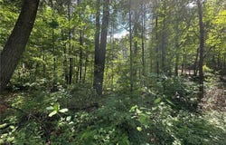 Tbd White Pine Lane, Motley, MN 56466