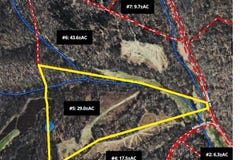 Tract #5 Johnnie Rd, INDIAN MOUND, TN 37079