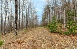Off JOHNSON LN, Winchester, WI 54557