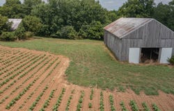 281 Steve Wood Rd, Bagdad, KY 40003