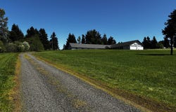 38520/38524 HIGHWAY 226, Scio, OR 97374