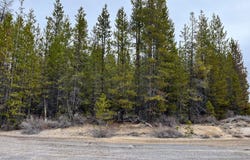 0 TBD McNeale, Crescent Lake, OR 97733