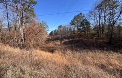County Road 1389, Saltillo, MS 38866