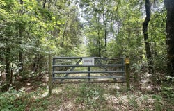 Highway 483, Morton, MS 39117