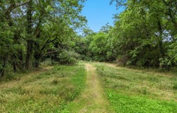 300 French Avenue, Waco, TX 76706