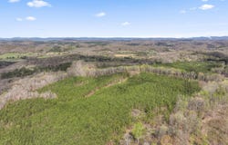 365 Pattie Gap Rd, Philadelphia, TN 37846