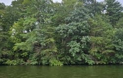 Lot 9 Longview Estates DR, Goodview, VA 24095