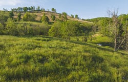 Lots 8 Big Springs Road, Eidson, TN 37731