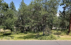 Coopers Hawk Road, Klamath Falls, OR 97601