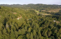 MYRTLE TERRACE Rd, Coquille, OR 97423