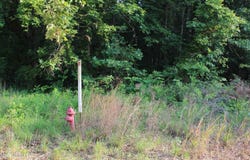 999 Whites Crossing Road, Ashland, MS 38603