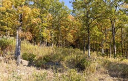 Lot 16 Peaceful  PL, Harrison, AR 72601
